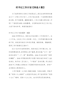 村书记工作计划【热选5篇】