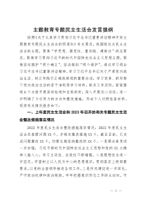 主题教育专题民主生活会发言提纲