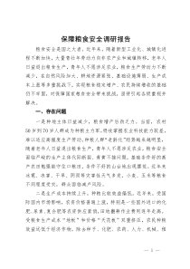 保障粮食安全调研报告