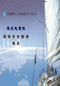 塔式起重机实体安全检查要点