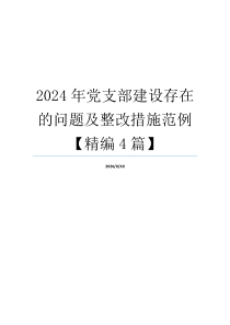 2024年党支部建设存在的问题及整改措施范例【精编4篇】