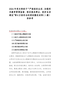 2024年党支部班子“严格组织生活、加强党员教育管理监督、联系服务群众、抓好自身建设”等6方面存