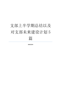 支部上半学期总结以及对支部未来建设计划5篇
