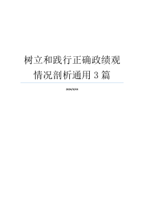 树立和践行正确政绩观情况剖析通用3篇