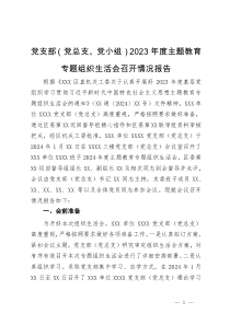 党支部（党总支、党小组）2023年度主题教育专题组织生活会召开情况报告