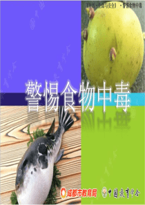 安全教育-警惕食物中毒