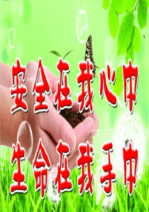安全班会十大类安全问题