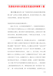 党委组织部长抓基层党建述职集聚3篇