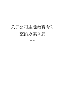 关于公司主题教育专项整治方案3篇
