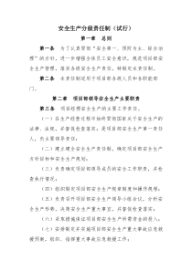 安全生产分级责任制(试行)