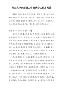第三次中央新疆工作座谈会工作方案篇