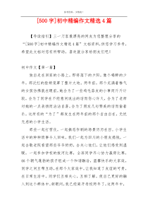 [500字]初中精编作文精选4篇