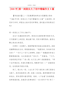 [500字]那一刻我长大了初中精编作文5篇