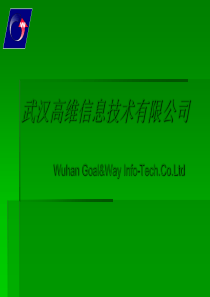 ERP的选型和应用（PPT30页）