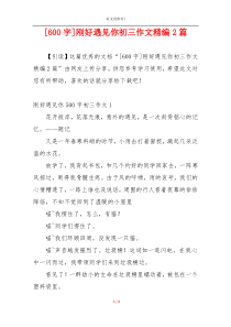 [600字]刚好遇见你初三作文精编2篇