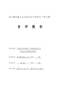 安全生产标准化达标评级自评报告