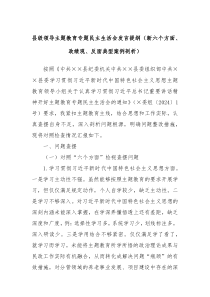 县级领导主题教育专题民主生活会发言提纲新六个方面政绩观反面典型案例剖析