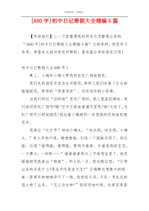 [600字]初中日记寒假大全精编5篇