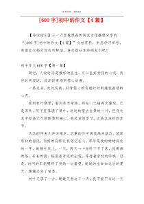 [600字]初中的作文【4篇】