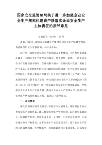 安全生产规范化建设严格落实企业安全生产主体责任的指导意见