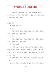 关于婚前协议书（精编5篇）