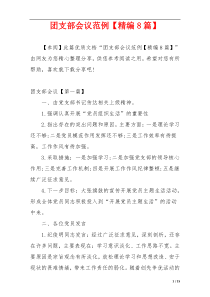 团支部会议范例【精编8篇】