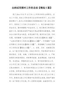 出纳试用期对工作的总结【精选5篇】