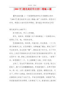 [600字]遇见美好作文初二精编4篇
