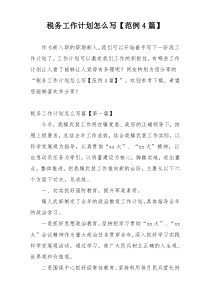 税务工作计划怎么写【范例4篇】