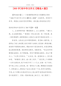[800字]初中作文作文【精选4篇】