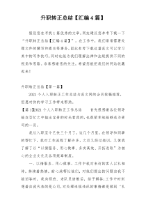 升职转正总结【汇编4篇】