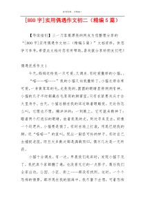 [800字]实用偶遇作文初二（精编5篇）