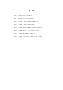 安全管理分册-附录样本