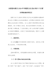 支部宣传委员2024年专题民主生活会“新六个方面”对照检查材料范文