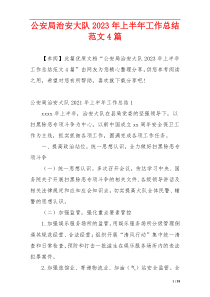 公安局治安大队2023年上半年工作总结范文4篇