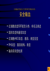 安全输血(2)