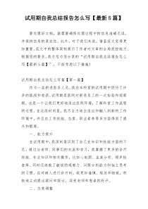 试用期自我总结报告怎么写【最新5篇】