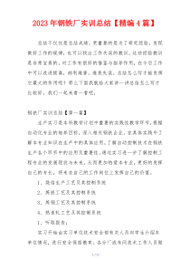 2023年钢铁厂实训总结【精编4篇】