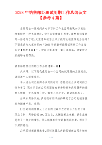 2023年销售部经理试用期工作总结范文【参考4篇】