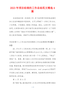 2023年项目经理的工作总结范文精选4篇