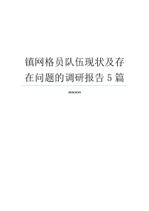 镇网格员队伍现状及存在问题的调研报告5篇
