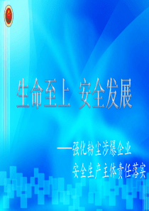 强化粉尘涉爆企业安全生产主体责任落实主题讲座（PPT40页)