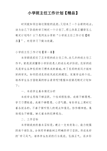 小学班主任工作计划【精品】