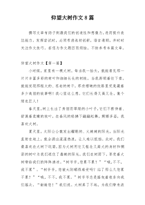 仰望大树作文8篇