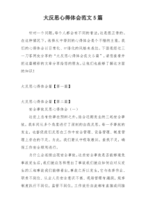 大反思心得体会范文5篇