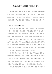 大学教师工作计划（精选5篇）