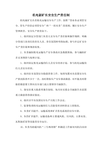 机电科安全生产责任制XXXX