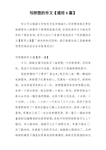 写拼图的作文【通用4篇】