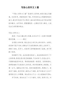写拾心的作文3篇