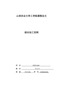 机械CAM课程论文